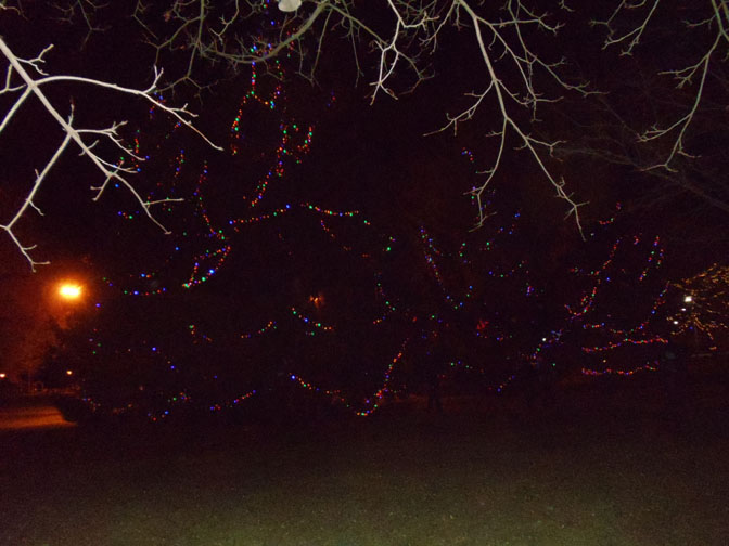 From the Desk of Murray Lincoln Christmas Magic in Victoria Park