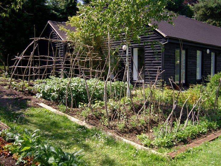 Huerto Urbano: Un huerto en el jardín