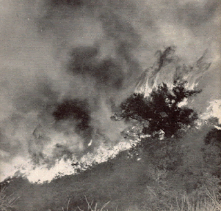 1955 La Tuna Canyon Fire. Click to learn more...