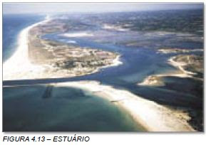 Estuário