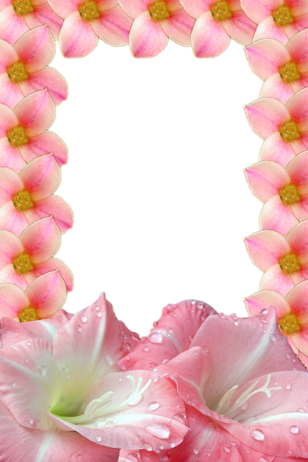 [Flower-frames+(3).png]