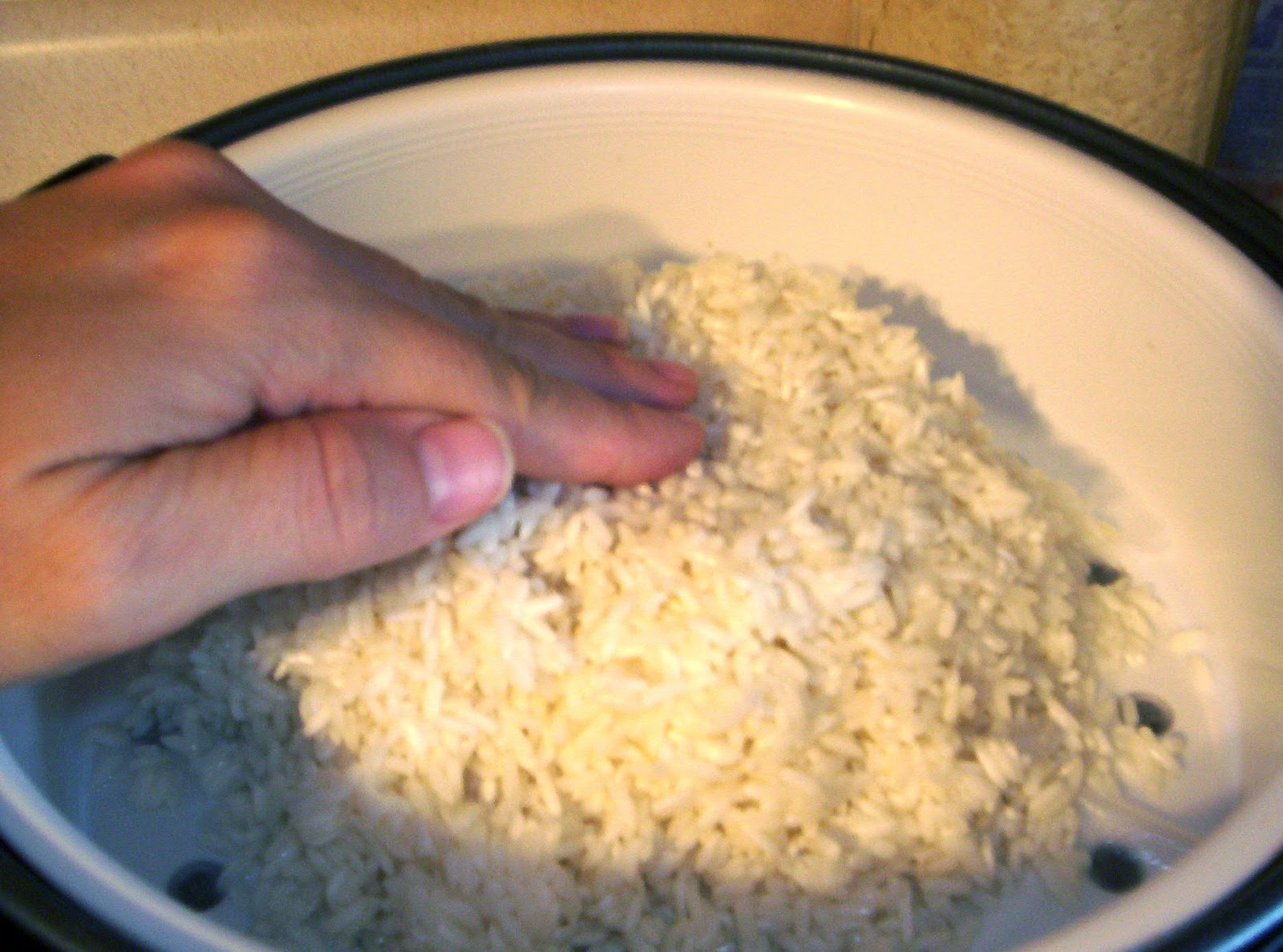 Roots of Simplicity How to Steam Sticky Rice in a Rice Cooker
