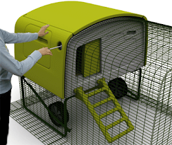 cube eglu chicken coop cool chickens coops