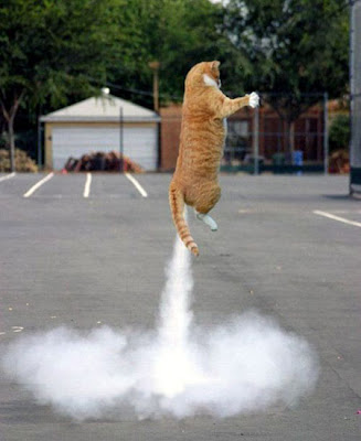 http://2.bp.blogspot.com/_t9pl9Dh5gGQ/SyFT0dYJd6I/AAAAAAAANN0/X6qMCZ4Zl4w/s400/rocket-kitty.jpg