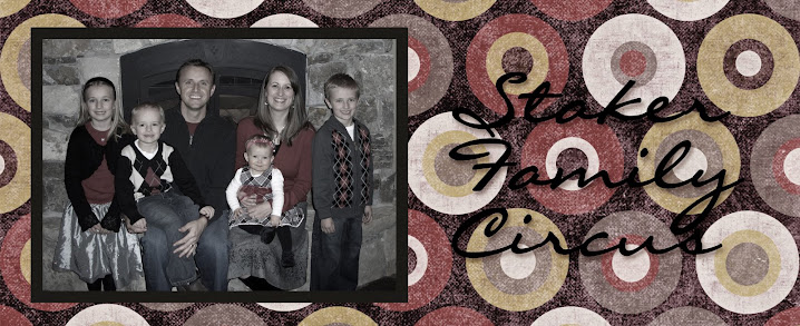 Staker Family Circus