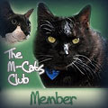 Member of the M-Cats Club