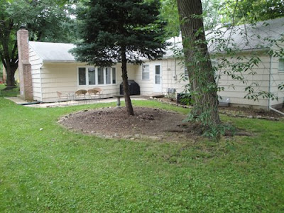 The Domestic Wannabe: our naked yard!