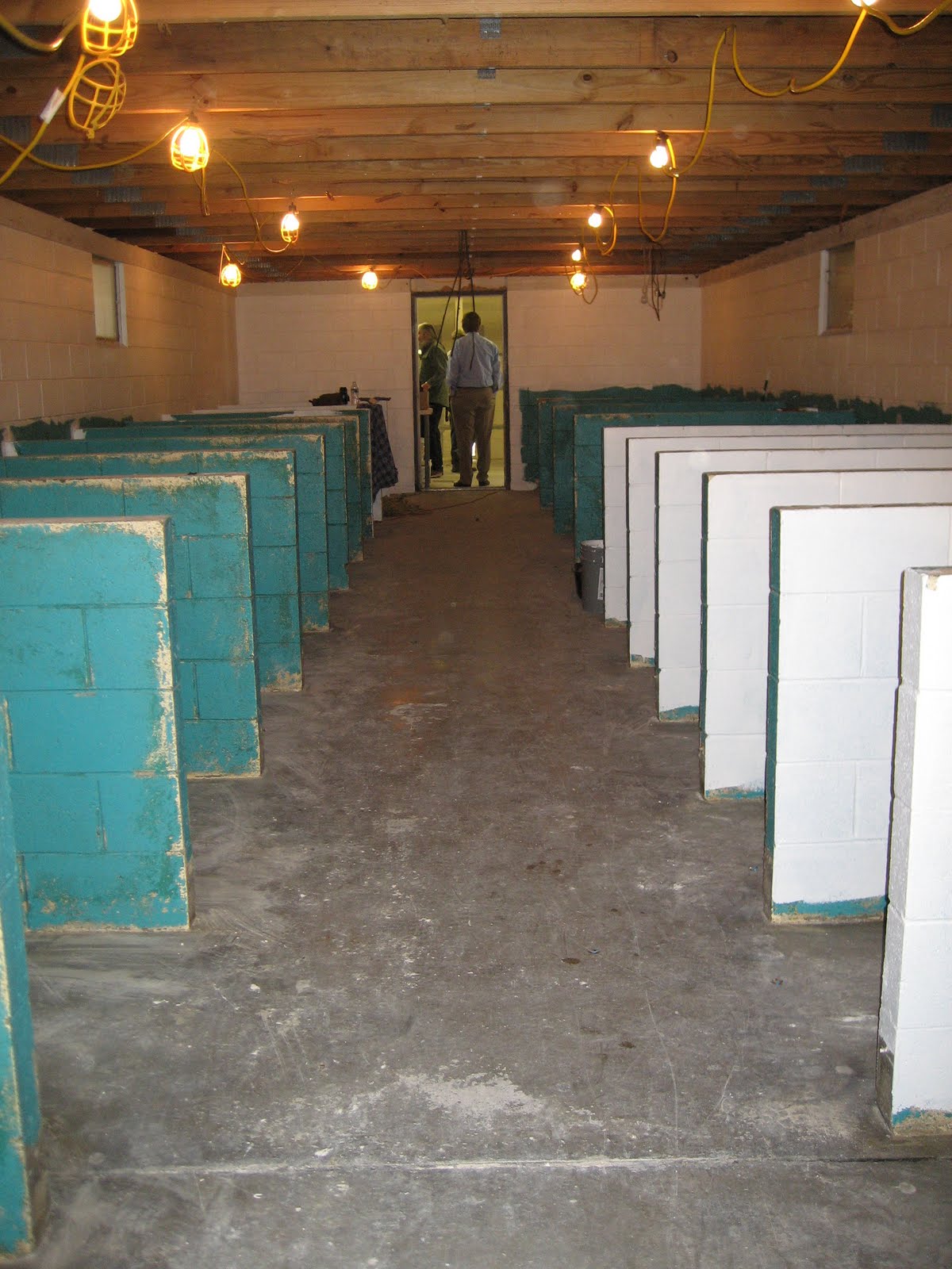 Best Friends Bethany Renovations at Best Friends