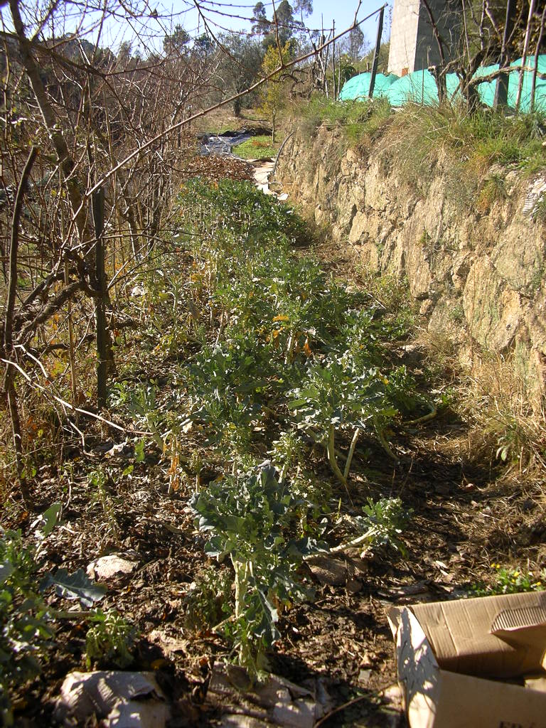 [2007-12-26+005.JPG]