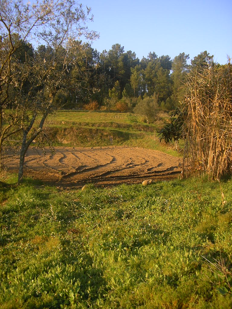 [2007-01-10+032.JPG]