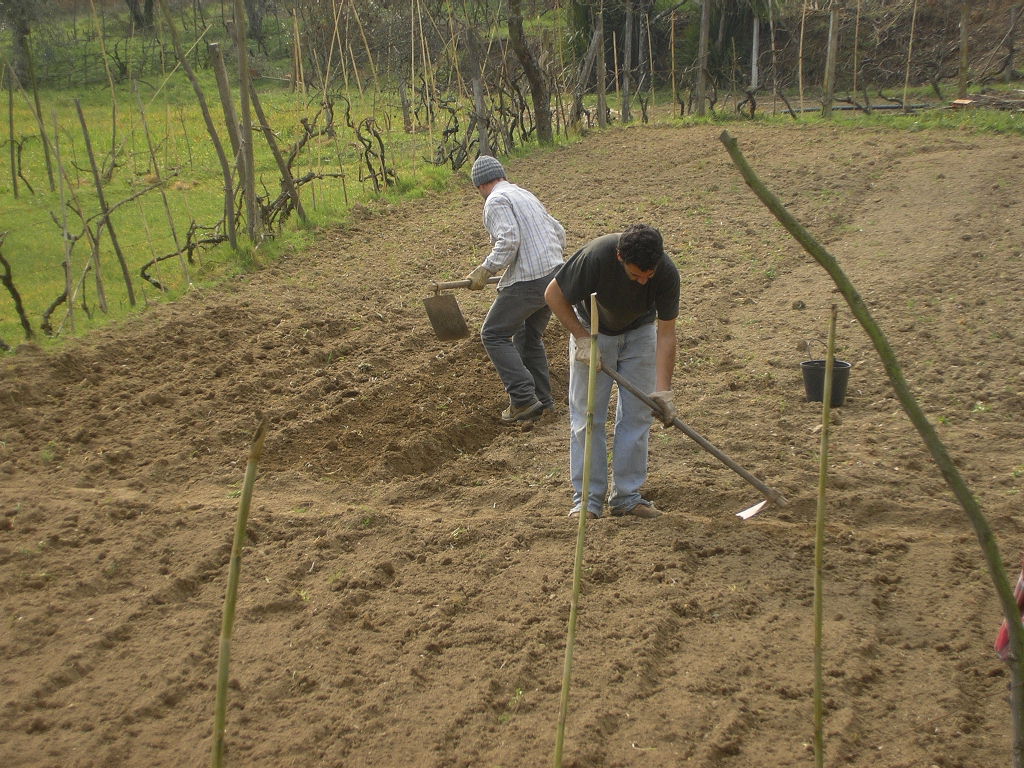 [2007-02-08+031.JPG]