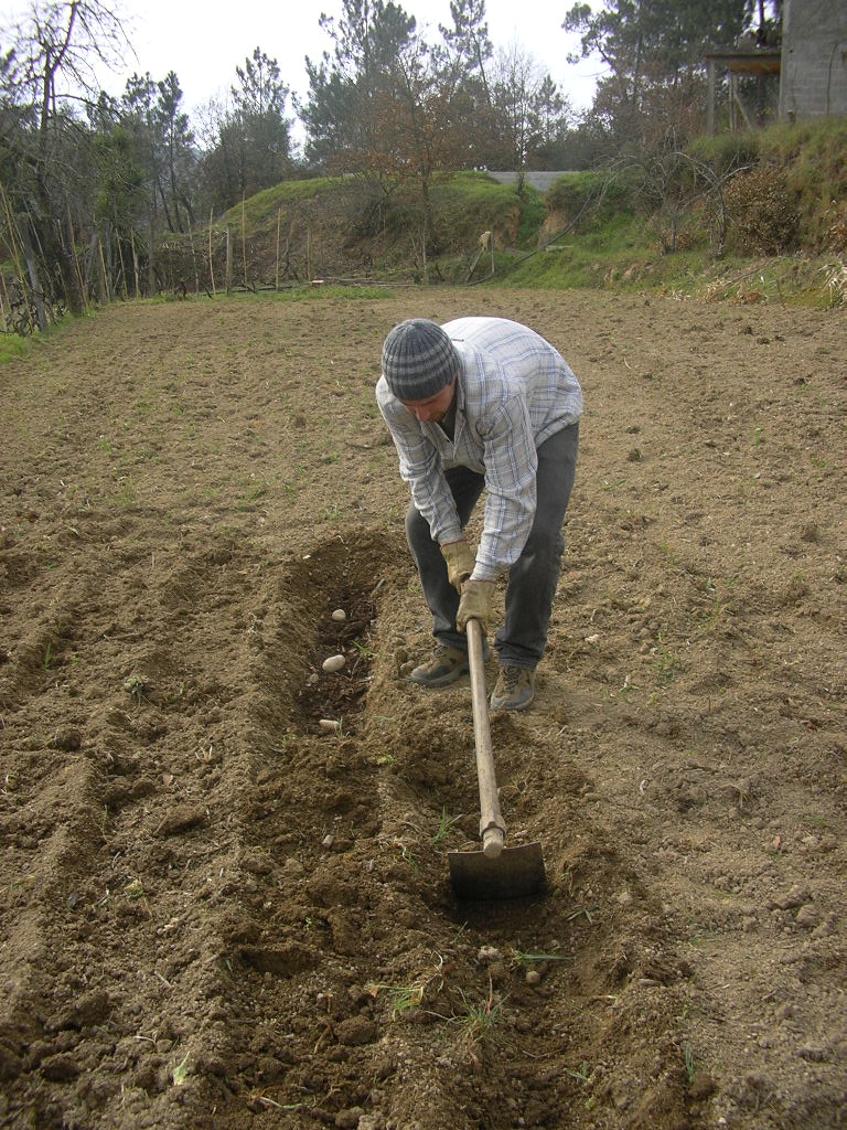 [2007-02-08+029.JPG]