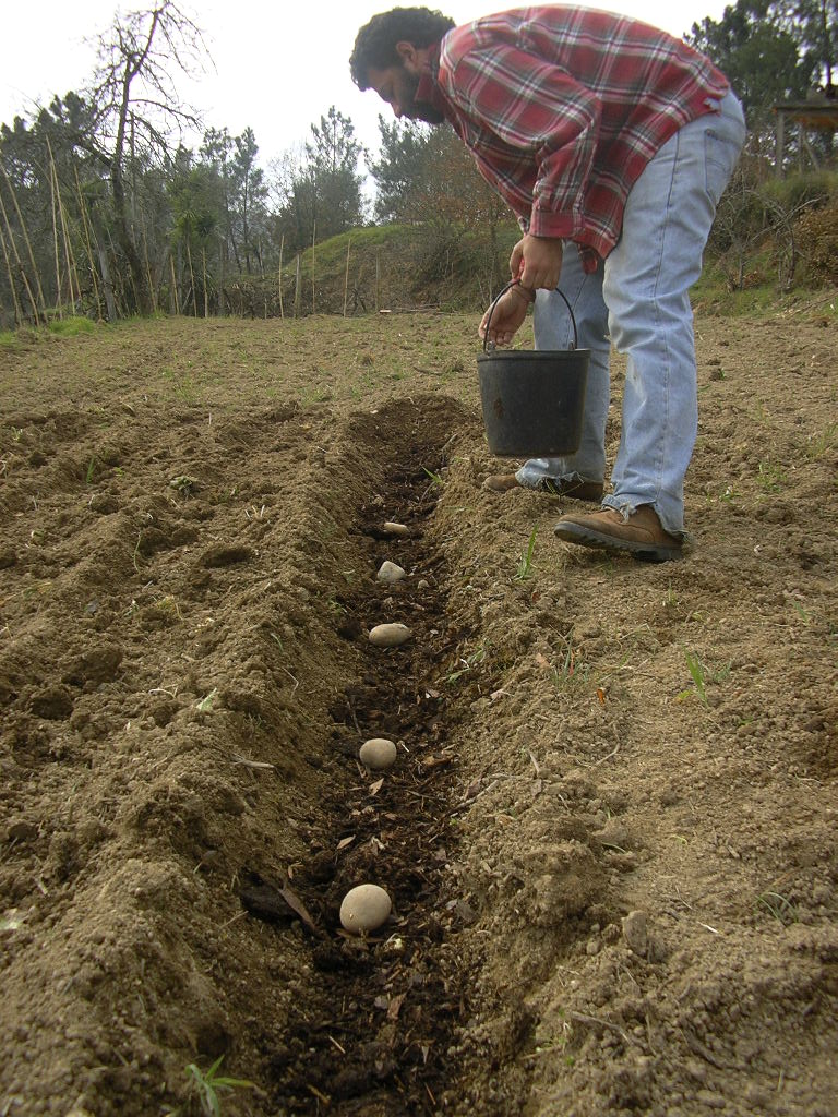 [2007-02-08+025.JPG]