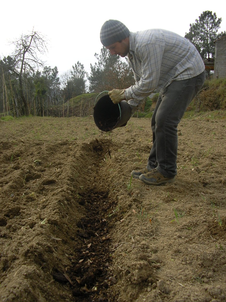 [2007-02-08+018.JPG]