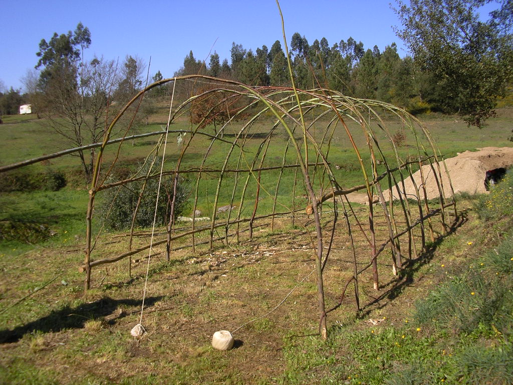 [2007-03-12+002.JPG]