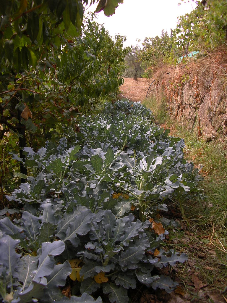 [2007-09-15+001.JPG]