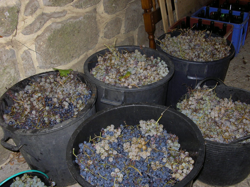 [2007-10-07+007.JPG]