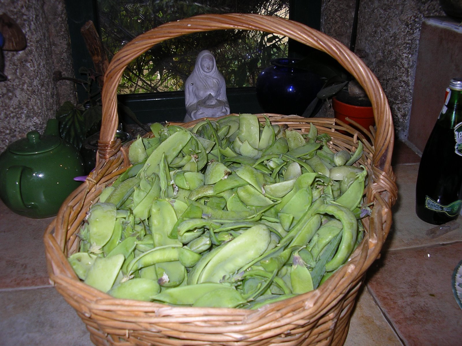 [2008-05-15+003.JPG]