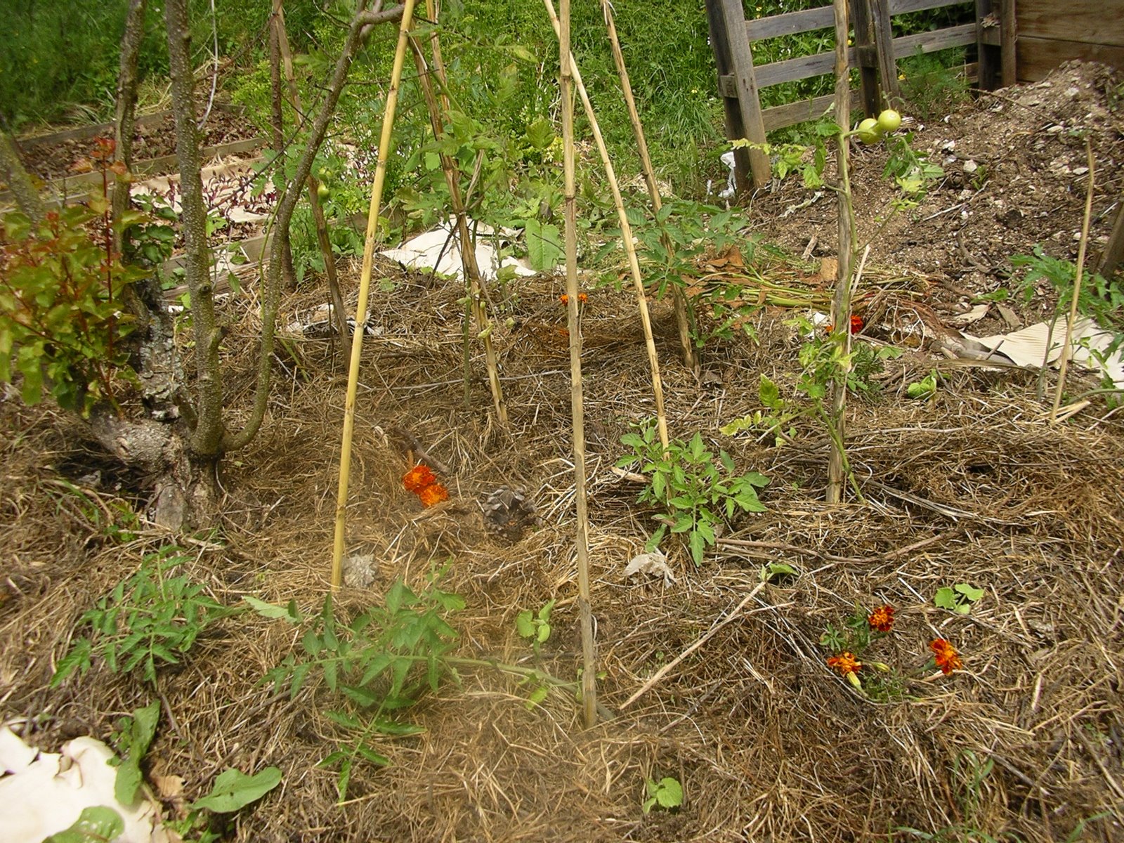 [2008-05-20+001.JPG]