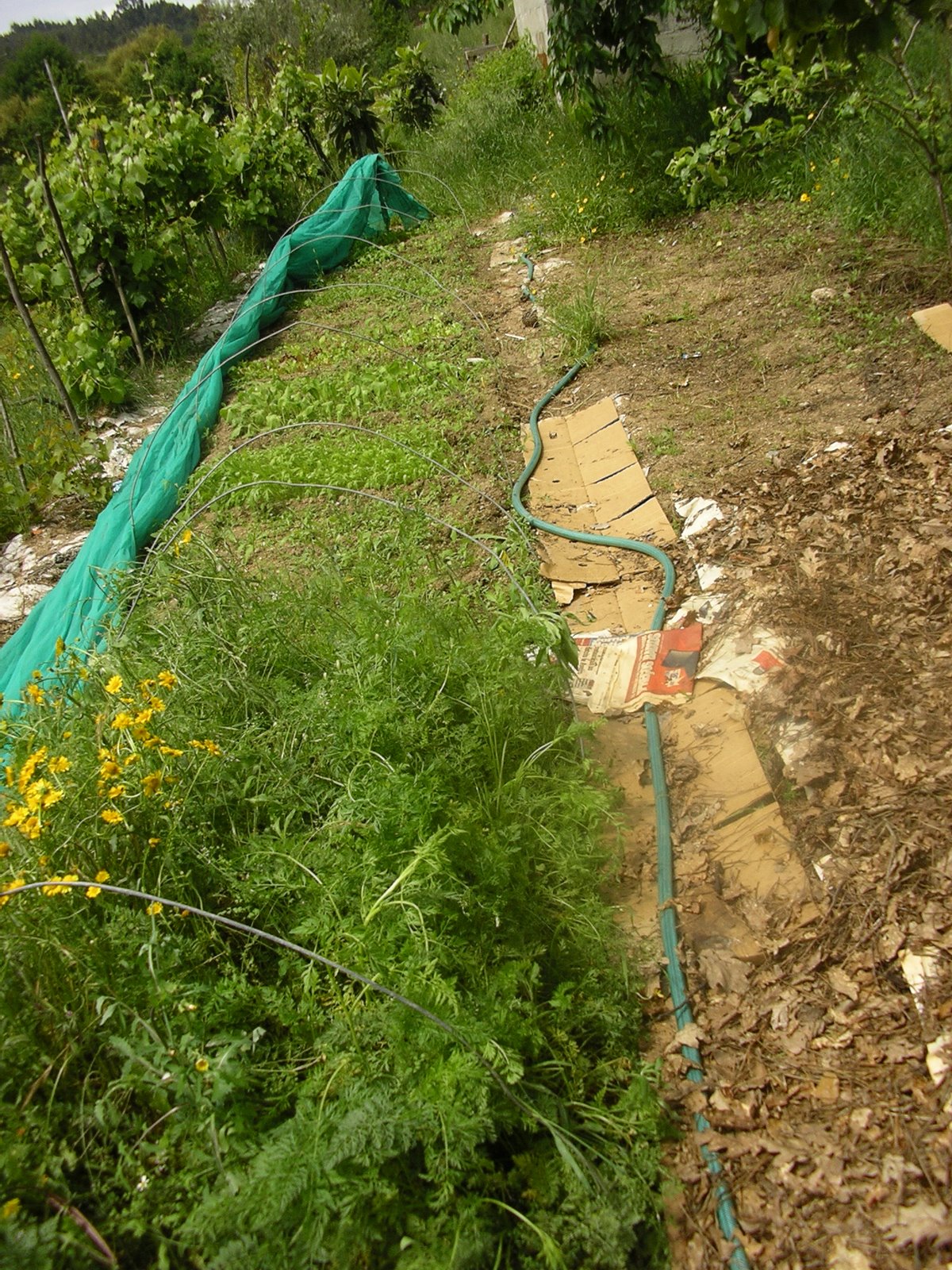 [2008-05-20+006.JPG]