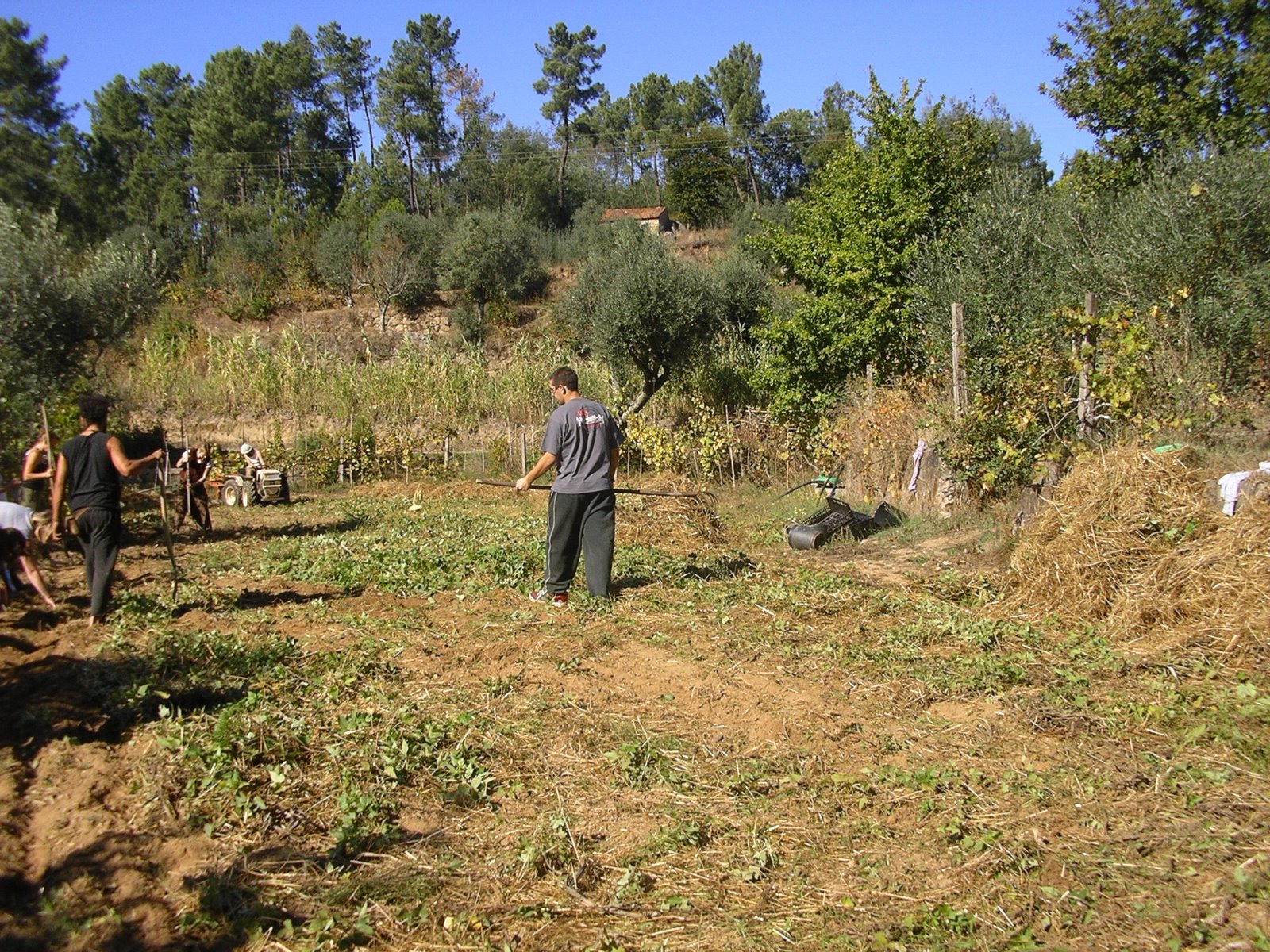 [2008-10-26+003.JPG]