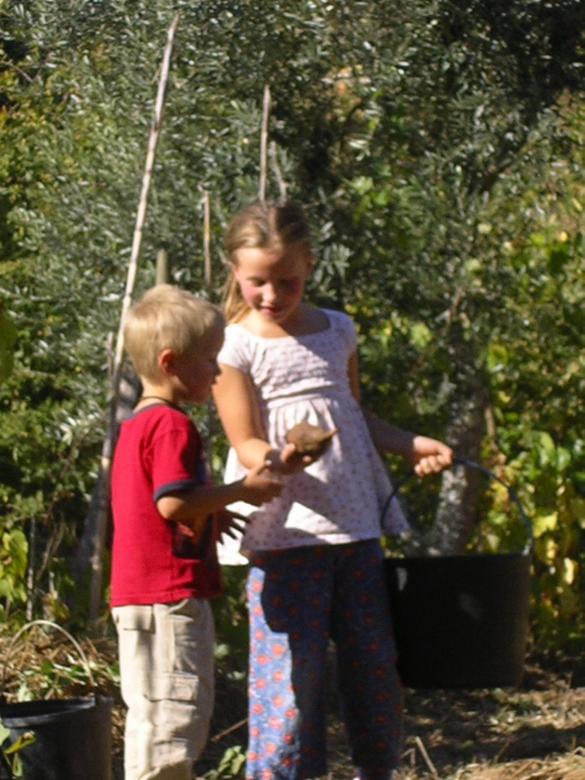 [2008-10-26+052.JPG]