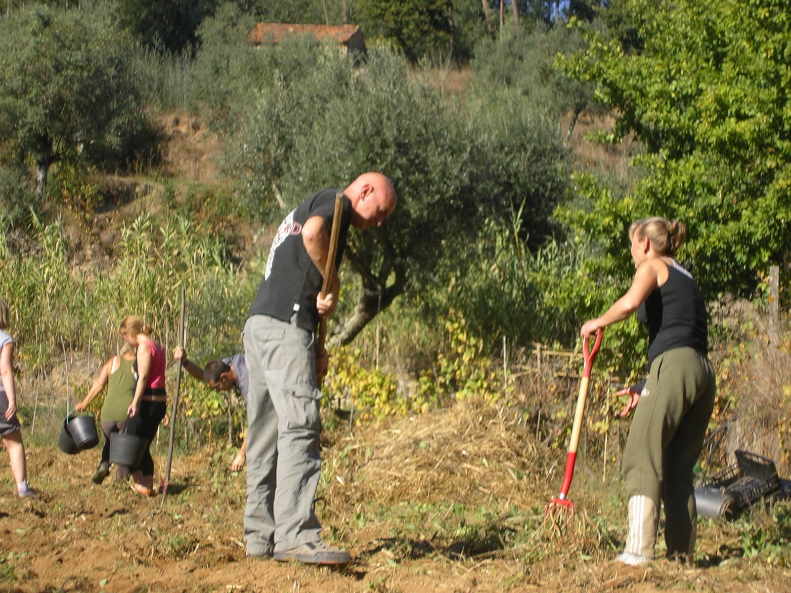 [2008-10-26+066.JPG]