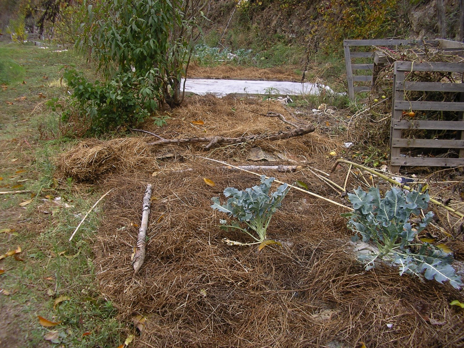 [2008-11-06+005.JPG]