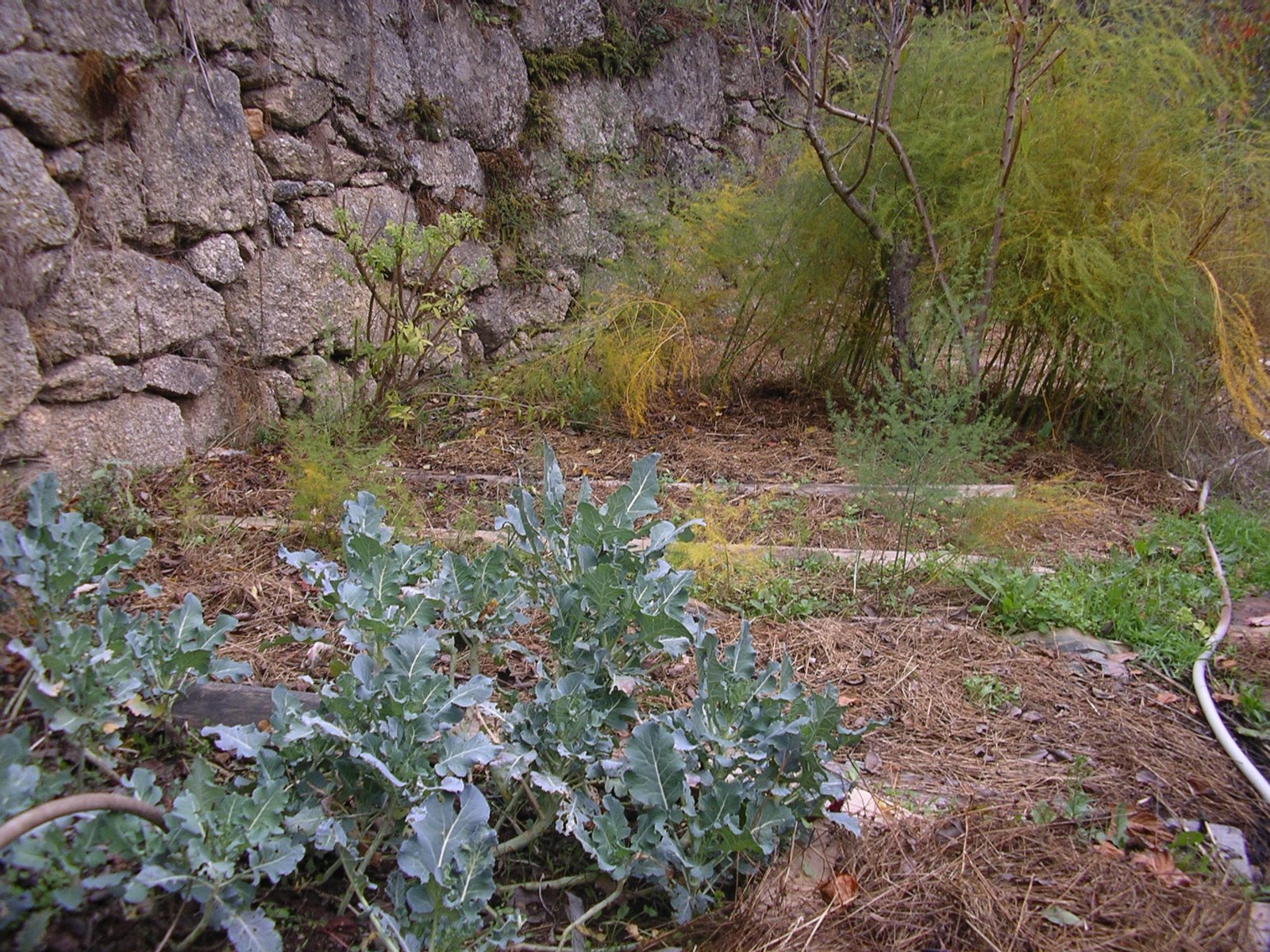 [2008-11-06+006.JPG]