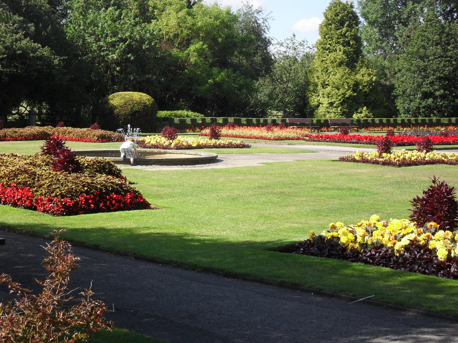 Tortusvill Markeaton Park near Derby