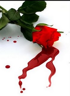 [mawar+berdarah.jpg]