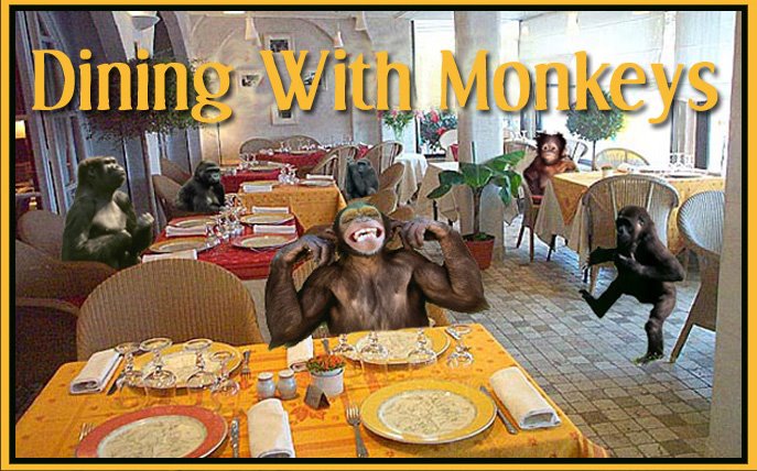 Dining With Monkeys