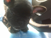 Hamilton on the ride home from South Carolina