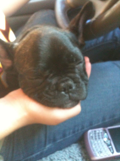 Sleeping in the car!