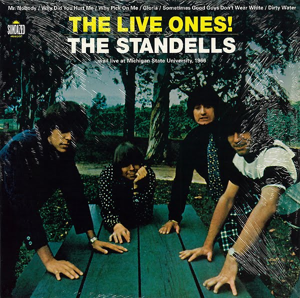 The Standells Net Worth