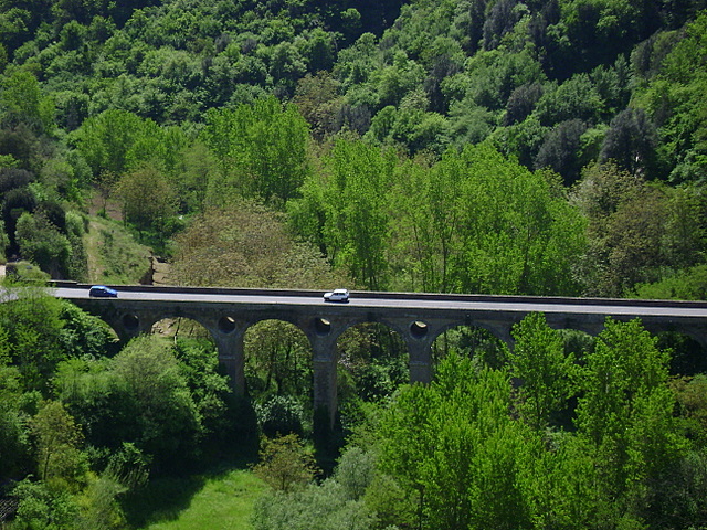 48 /Italy (Maremma region)