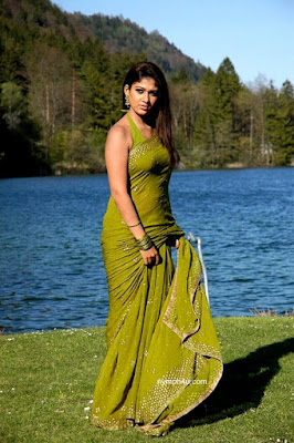 south indian mallu actress nayayanthara hot sexy saree image gallery hot pic