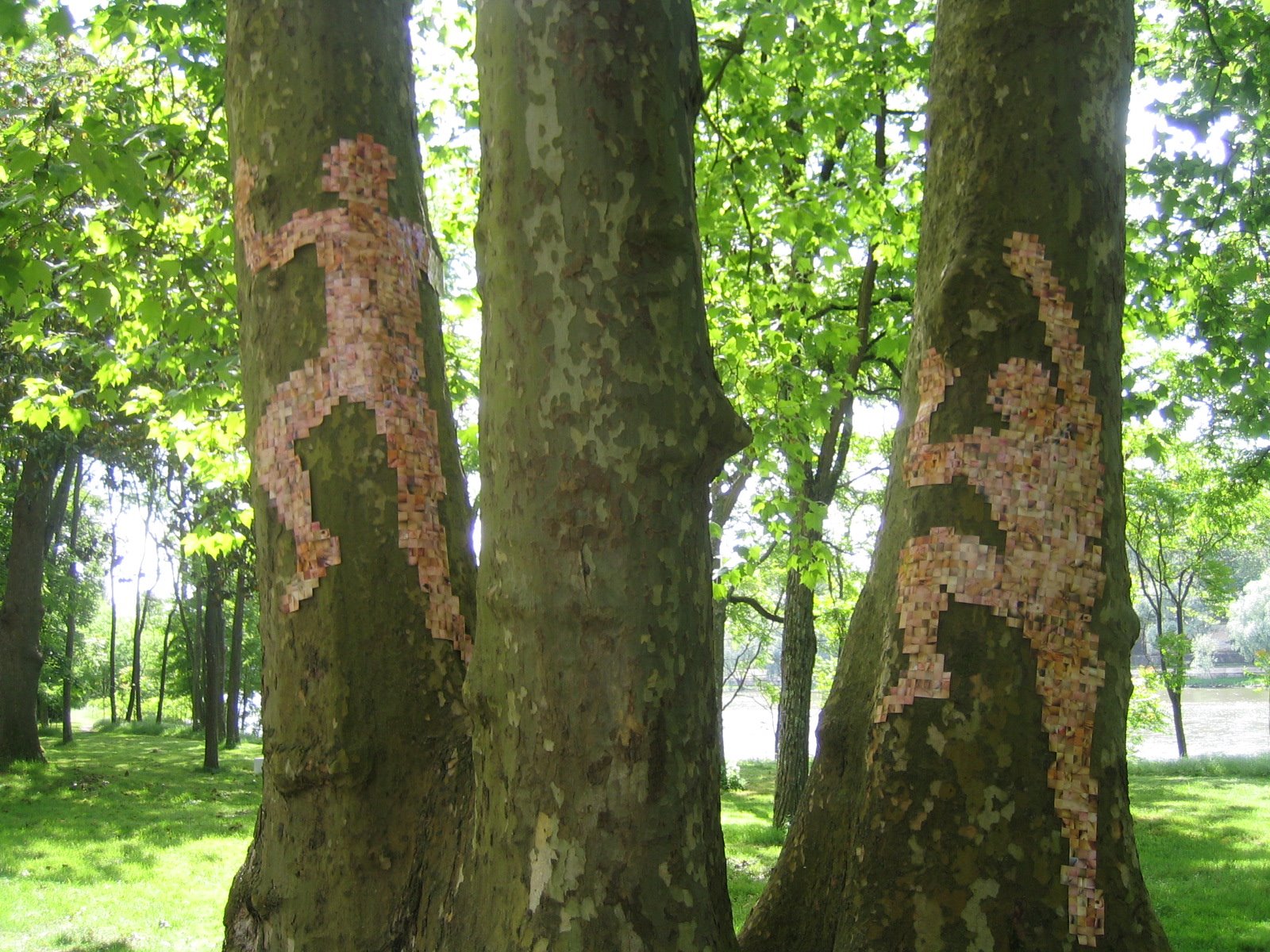 [IMG_0886.jpg]