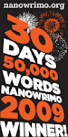 NaNoWriMo  in November