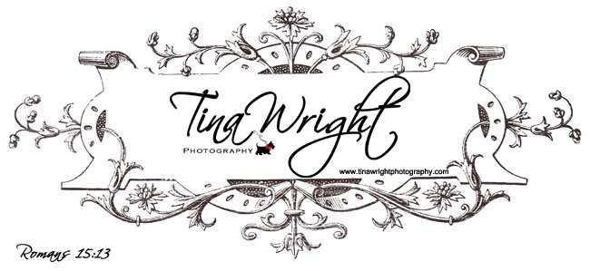 Tina Wright Photography