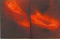 [7+Fragmentos+do+deserto.jpg]