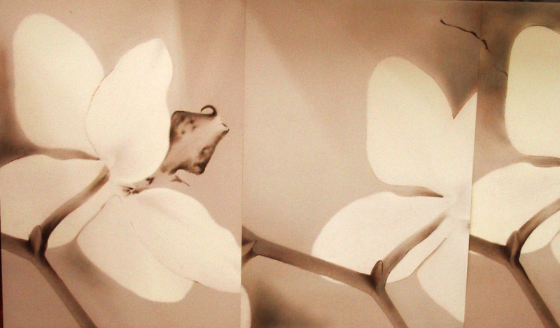 [desenho+orquidea.jpg]