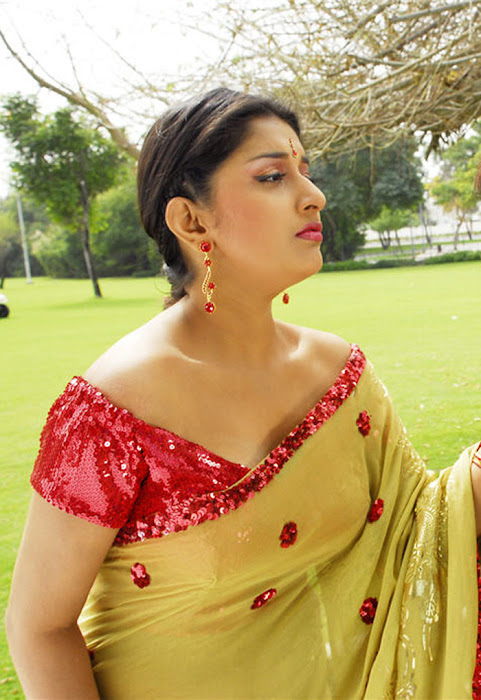 meera jasmine in saree actress pics