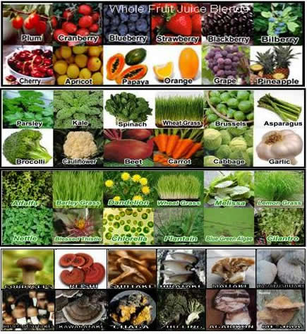 Natures Way C247 NaturaCeuticals