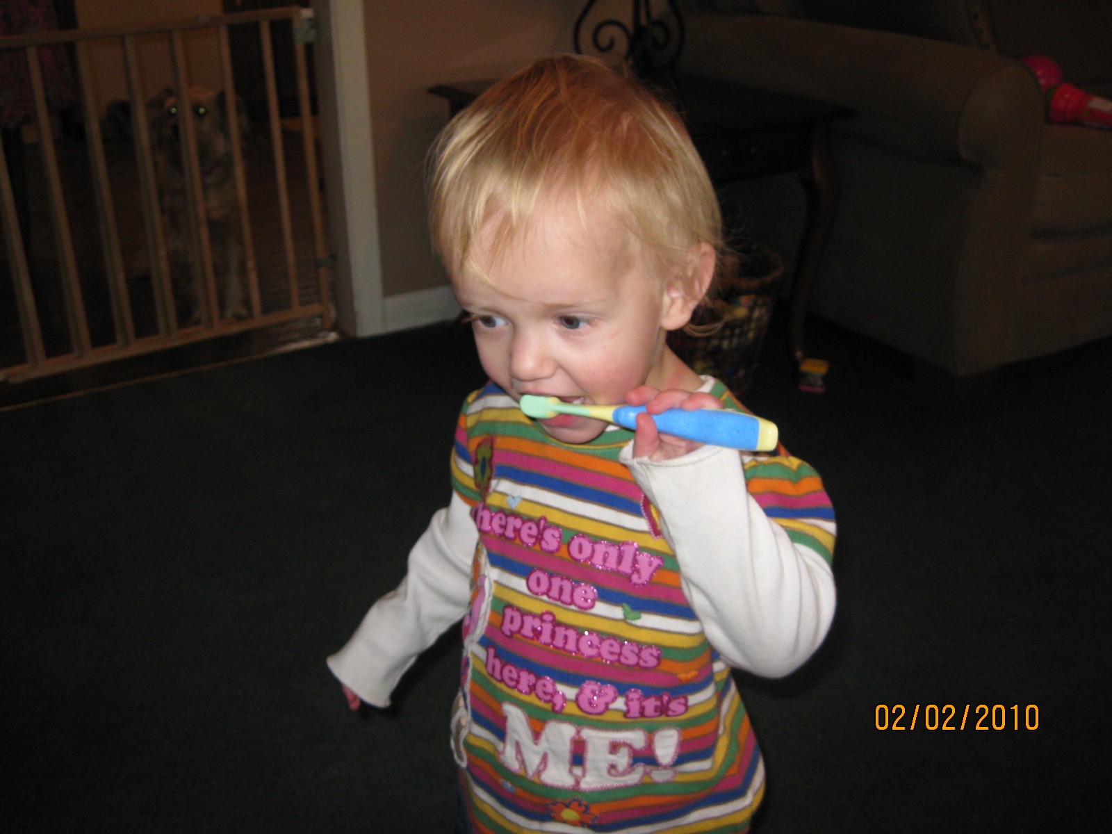 [IMG_0922.JPG]
