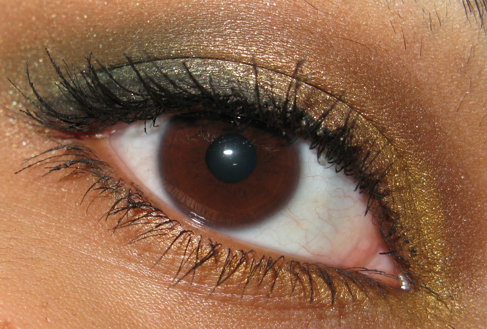 Bug's Beauty Blog: Autumnal Eyes