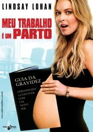 Baixar Filme - Meu Trabalho é um Parto DVDRip RMVB Dublado