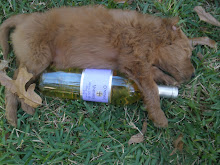 Wino puppy! 2010