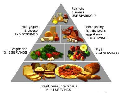 Food Pyramid Fats Oils And Sweets