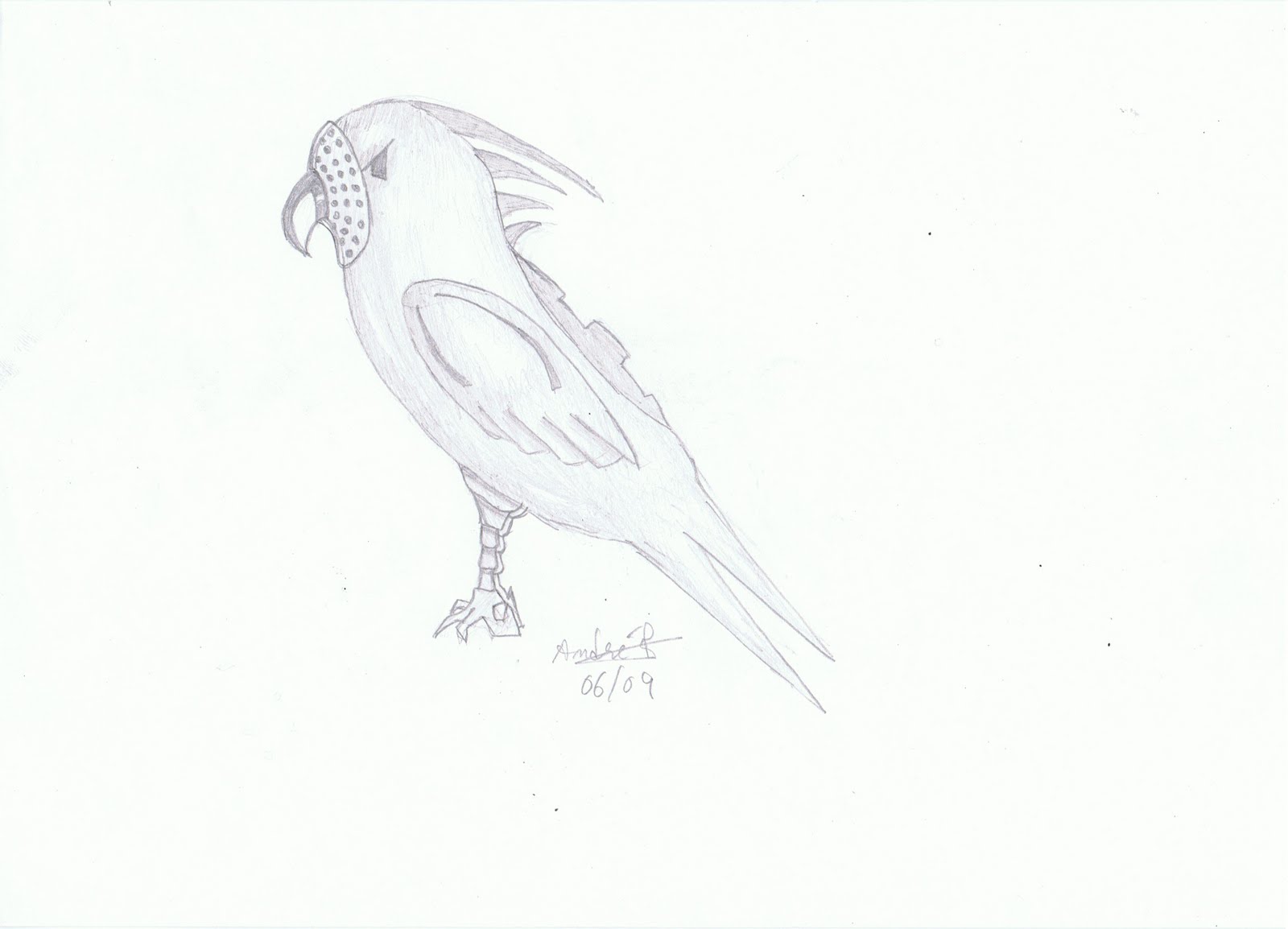 [Concept_bird.jpg]